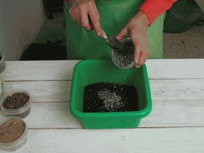 готовим почву для пересадки