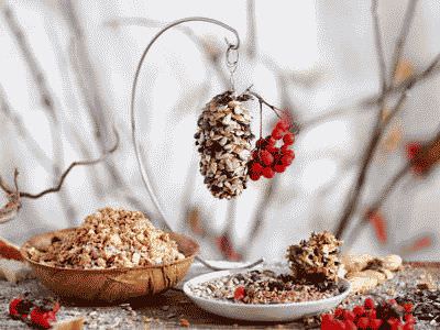 Интересная идея кормушки