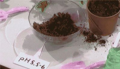 уход