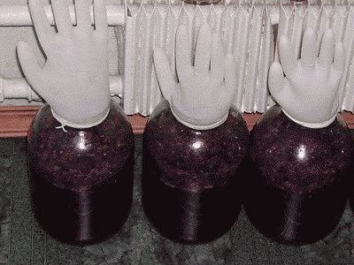 процесс брожения