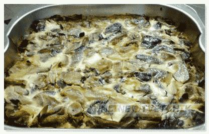 Приготовить вешенки дома