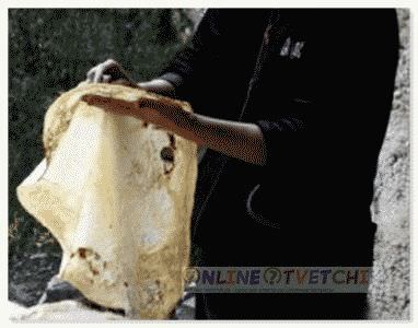 Сделать тесто лаваша