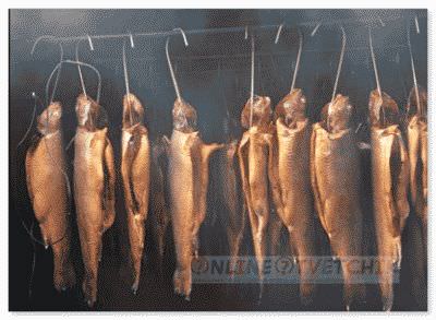 Дома проводить холодное копчение