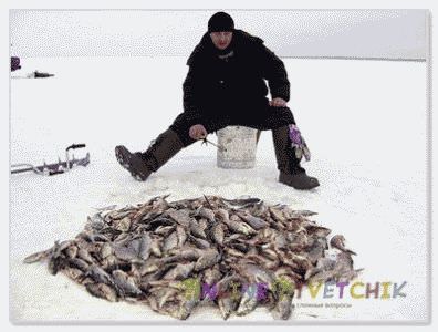 Что нужно для успешной зимней ловли? Что нужно для успешной зимней ловли?