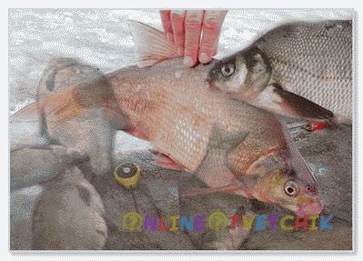 Двойная мормышка Двойная мормышка