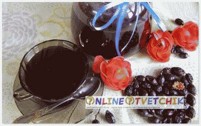 Некоторые полезные свойства шиповника