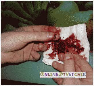 Правильное курение кальяна