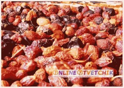 Сушеный шиповник для чая