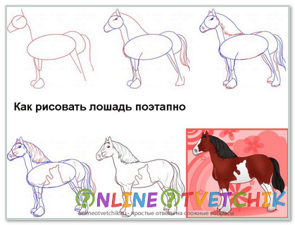 Физиология лошади