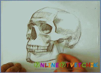 3D рисунок черепа