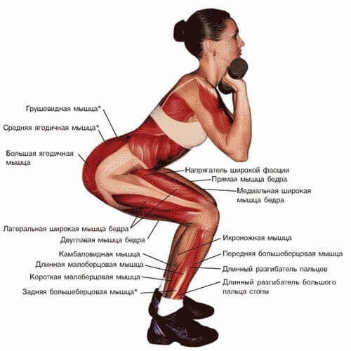 Как увеличить ягодицы