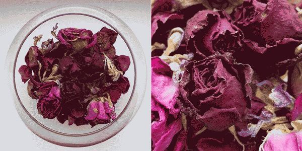 Как засушить розы