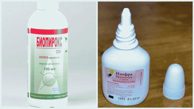 Как избавиться от насморка и заложенности носа за 1 день?