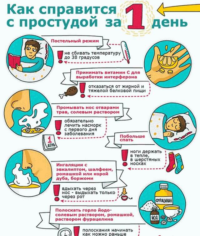 Как вылечить насморк за один день в домашних условиях?