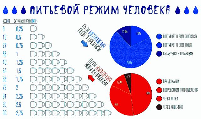 Диета для ленивых минус 12 кг за 2 недели: отзывы