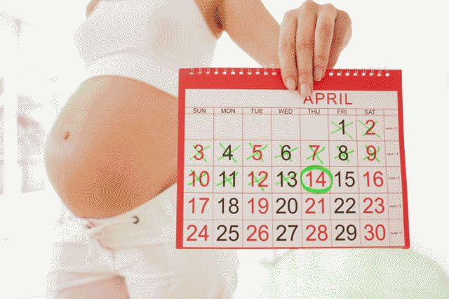 Как узнать пол ребёнка по дате зачатия?