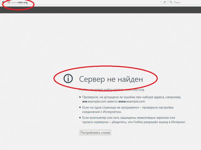 Почему rutor не работает?