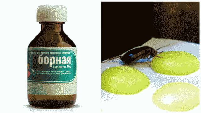 Как избавиться от тараканов в квартире в домашних условиях?