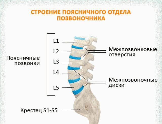Как вылечить грыжу позвоночника поясничного отдела без операции?