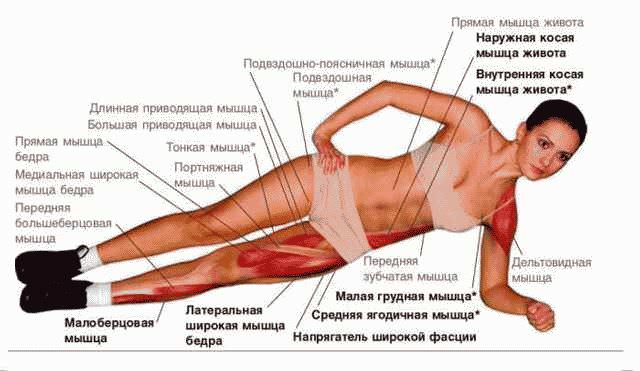 Как убрать живот и бока в домашних условиях за короткий срок?
