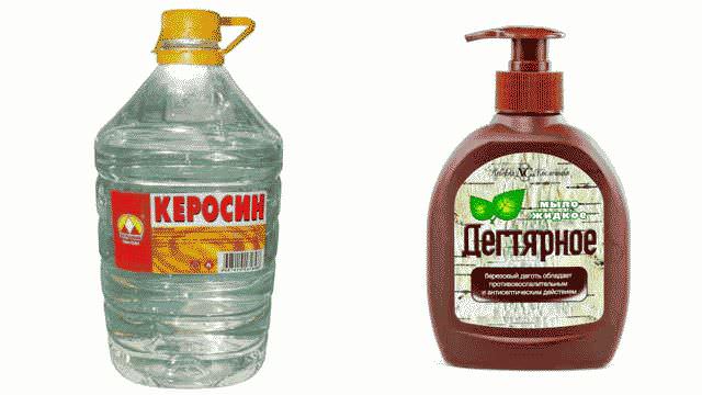 Как избавиться от вшей в домашних условиях быстро?