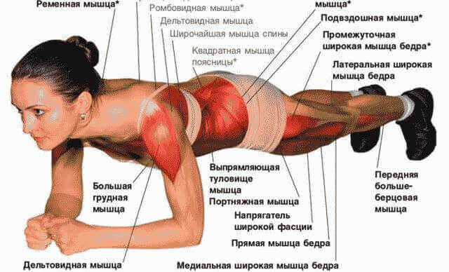 Как правильно делать планку для похудения?