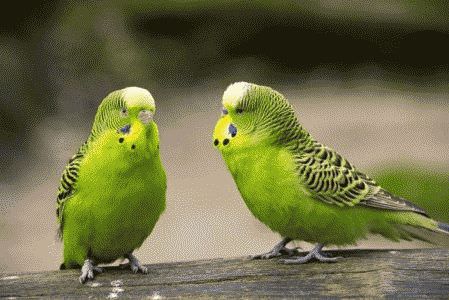 569