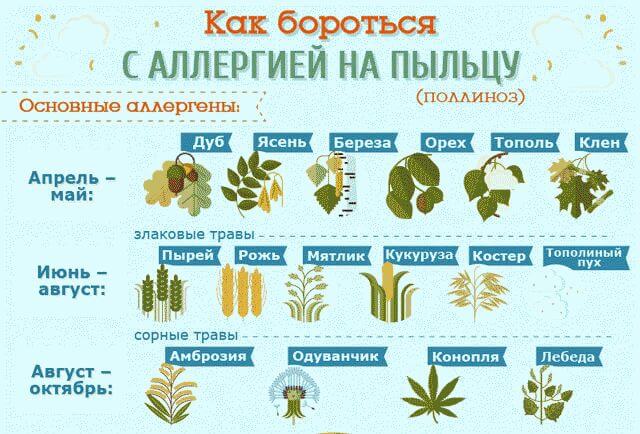 Таблетки от аллергии нового поколения: список