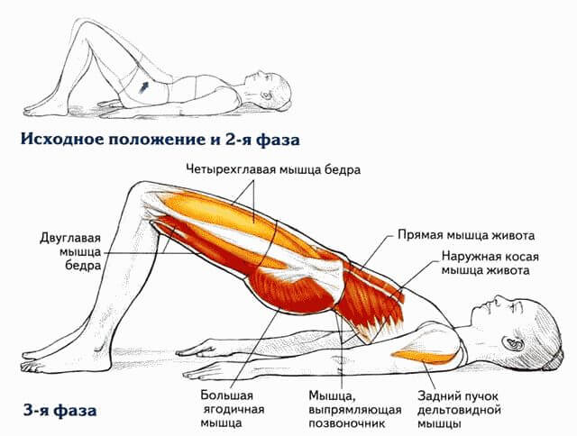 Болит копчик, когда сидишь